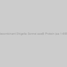 Image of Recombinant Shigella Sonnei aaeB Protein (aa 1-655)